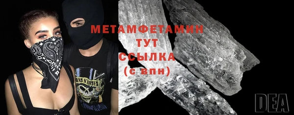 прущие грибы Заводоуковск