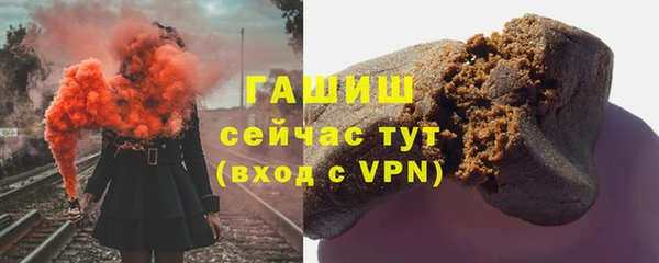 прущие грибы Заводоуковск