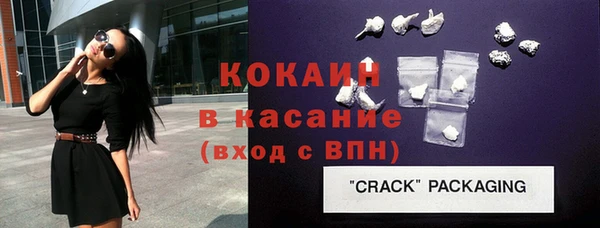 прущие грибы Заводоуковск