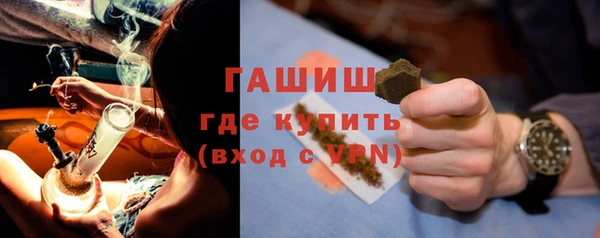 прущие грибы Заводоуковск