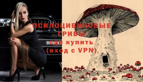 прущие грибы Заводоуковск