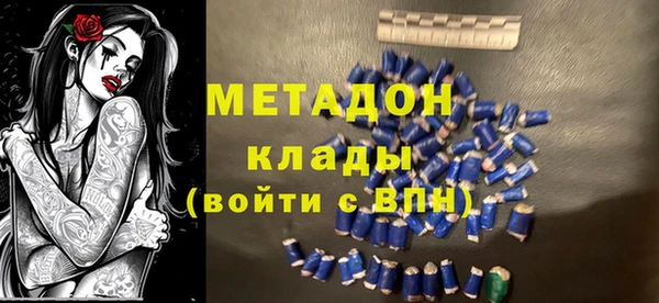прущие грибы Заводоуковск