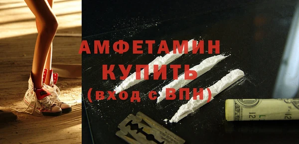 прущие грибы Заводоуковск