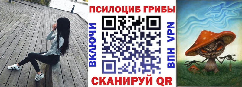 Купить закладки  Кочубеевское  Галлюциногенные грибы GOLDEN TEACHER 