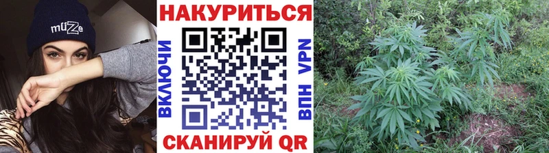 Каннабис Amnesia  Купить  Кочубеевское 